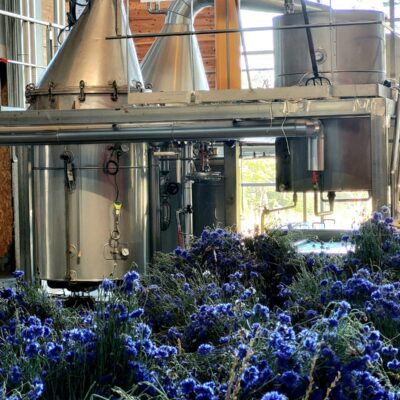 Les alambics au milieu des bleuets chez Essenciagua