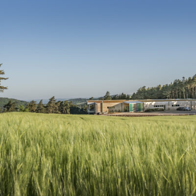 Les prairies autour de la distillerie Essenciagua